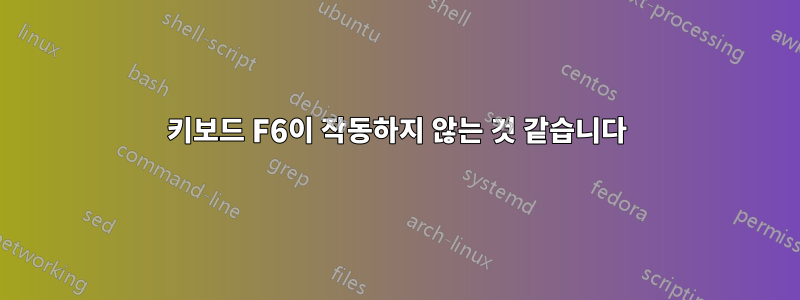 키보드 F6이 작동하지 않는 것 같습니다