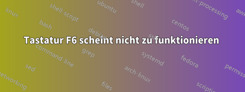 Tastatur F6 scheint nicht zu funktionieren