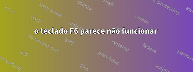 o teclado F6 parece não funcionar