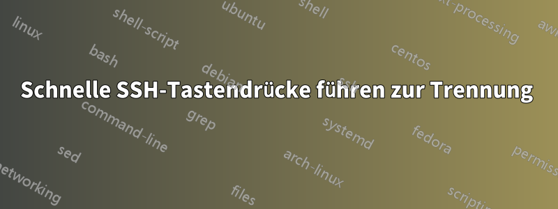 Schnelle SSH-Tastendrücke führen zur Trennung