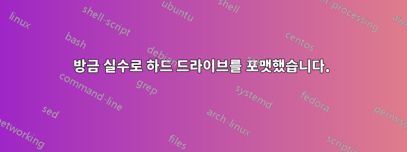 방금 실수로 하드 드라이브를 포맷했습니다.