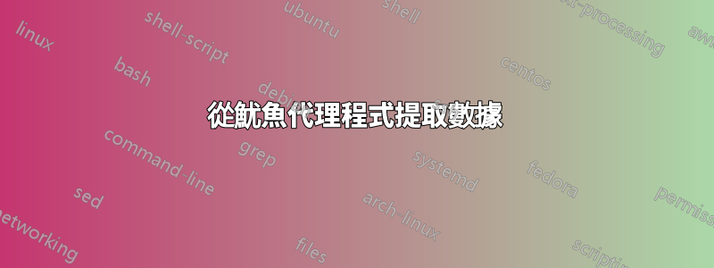 從魷魚代理程式提取數據