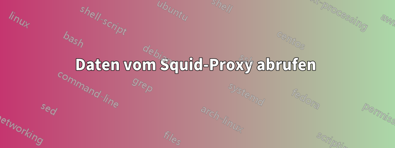 Daten vom Squid-Proxy abrufen