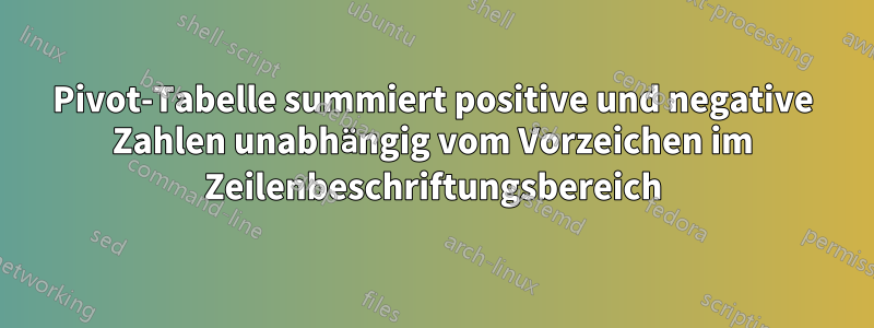 Pivot-Tabelle summiert positive und negative Zahlen unabhängig vom Vorzeichen im Zeilenbeschriftungsbereich