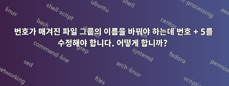 번호가 매겨진 파일 그룹의 이름을 바꿔야 하는데 번호 + 5를 수정해야 합니다. 어떻게 합니까? 