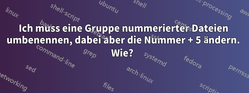 Ich muss eine Gruppe nummerierter Dateien umbenennen, dabei aber die Nummer + 5 ändern. Wie? 