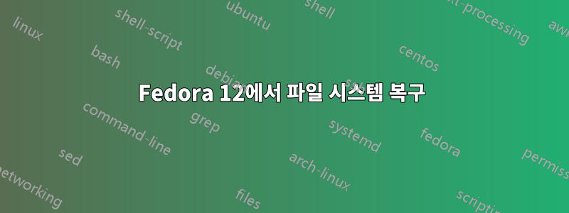 Fedora 12에서 파일 시스템 복구