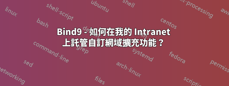 Bind9 - 如何在我的 Intranet 上託管自訂網域擴充功能？