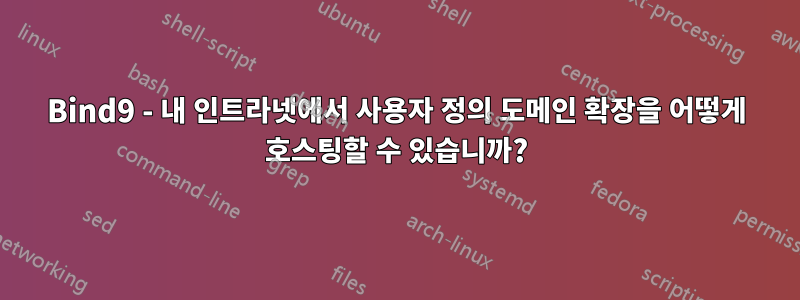 Bind9 - 내 인트라넷에서 사용자 정의 도메인 확장을 어떻게 호스팅할 수 있습니까?