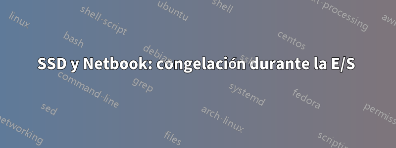 SSD y Netbook: congelación durante la E/S