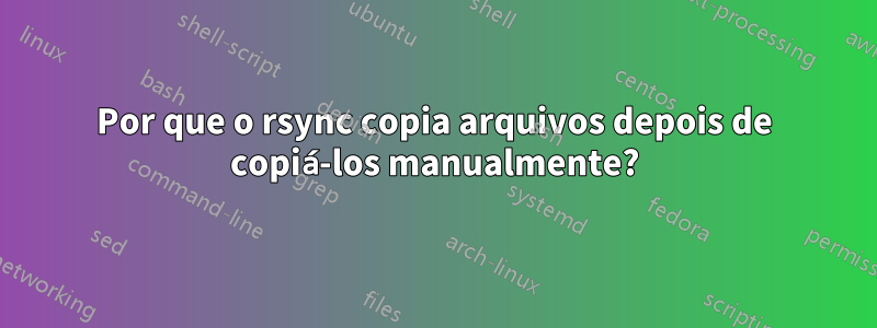 Por que o rsync copia arquivos depois de copiá-los manualmente?