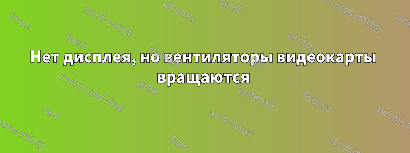 Нет дисплея, но вентиляторы видеокарты вращаются