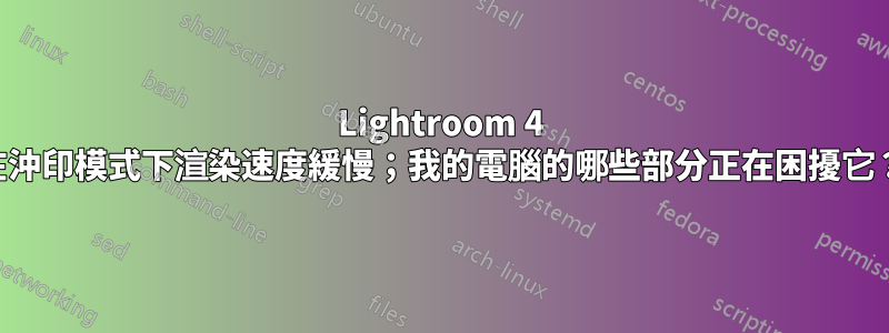 Lightroom 4 在沖印模式下渲染速度緩慢；我的電腦的哪些部分正在困擾它？