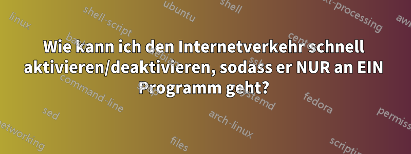 Wie kann ich den Internetverkehr schnell aktivieren/deaktivieren, sodass er NUR an EIN Programm geht?