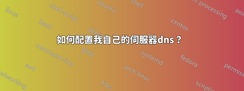 如何配置我自己的伺服器dns？ 