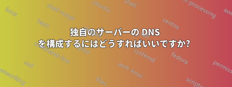 独自のサーバーの DNS を構成するにはどうすればいいですか? 