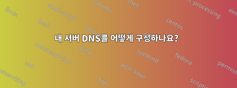 내 서버 DNS를 어떻게 구성하나요? 