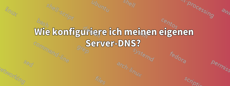 Wie konfiguriere ich meinen eigenen Server-DNS? 