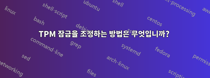 TPM 잠금을 조정하는 방법은 무엇입니까?