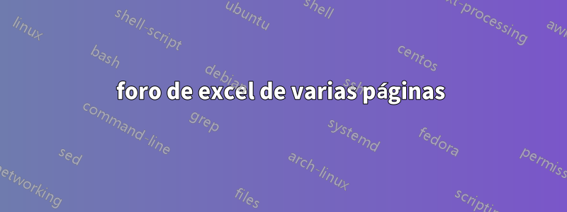 foro de excel de varias páginas