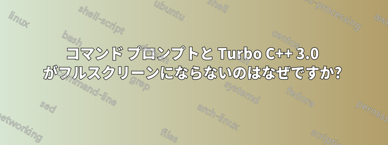 コマンド プロンプトと Turbo C++ 3.0 がフルスクリーンにならないのはなぜですか?