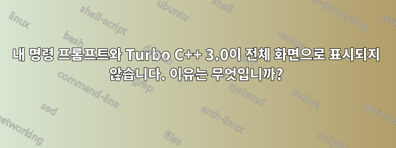 내 명령 프롬프트와 Turbo C++ 3.0이 전체 화면으로 표시되지 않습니다. 이유는 무엇입니까?