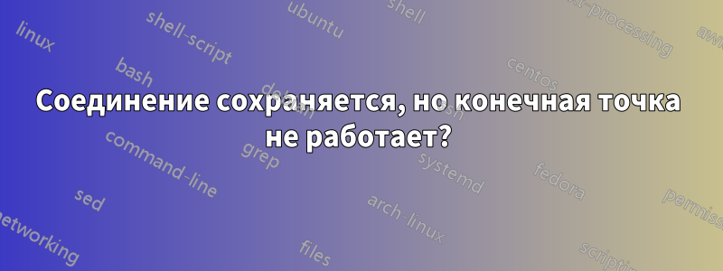 Соединение сохраняется, но конечная точка не работает?