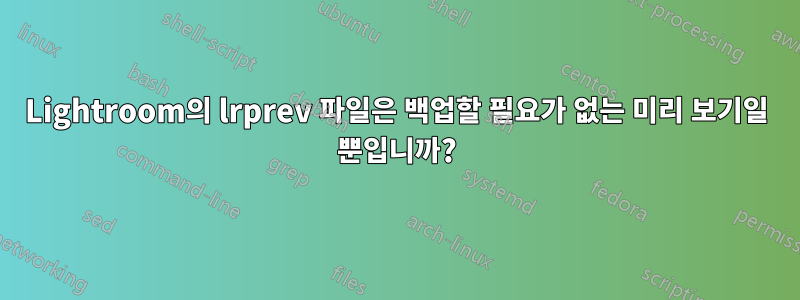 Lightroom의 lrprev 파일은 백업할 필요가 없는 미리 보기일 뿐입니까?