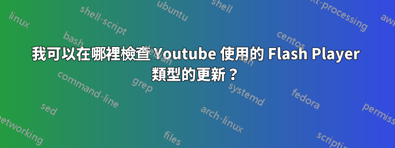 我可以在哪裡檢查 Youtube 使用的 Flash Player 類型的更新？