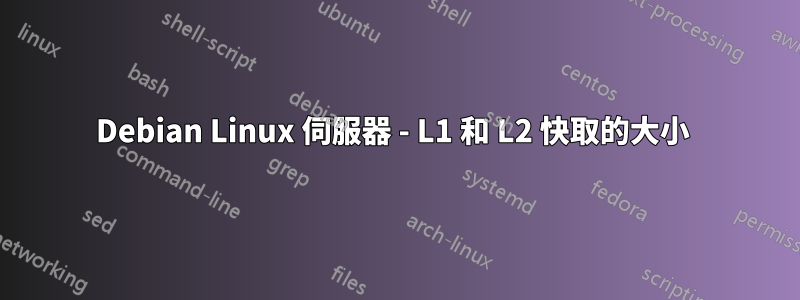 Debian Linux 伺服器 - L1 和 L2 快取的大小 