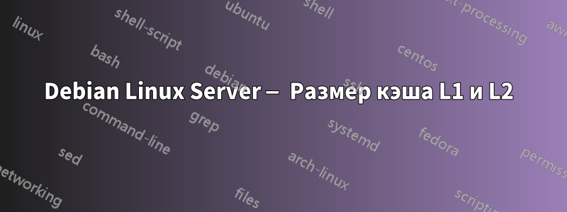 Debian Linux Server — Размер кэша L1 и L2 