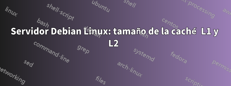 Servidor Debian Linux: tamaño de la caché L1 y L2 