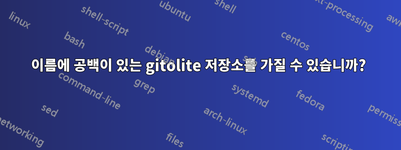 이름에 공백이 있는 gitolite 저장소를 가질 수 있습니까?