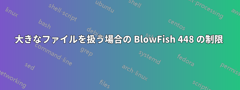 大きなファイルを扱う場合の BlowFish 448 の制限