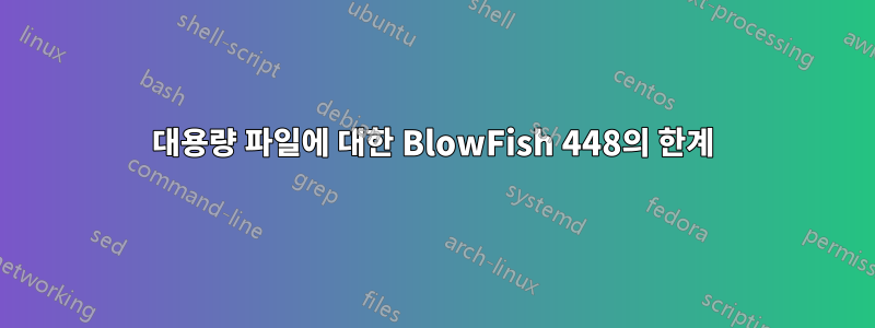 대용량 파일에 대한 BlowFish 448의 한계