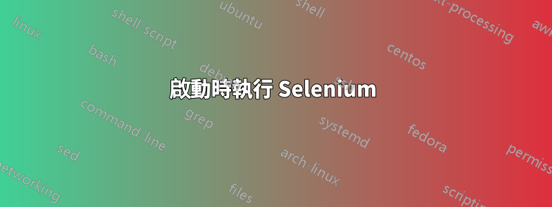 啟動時執行 Selenium