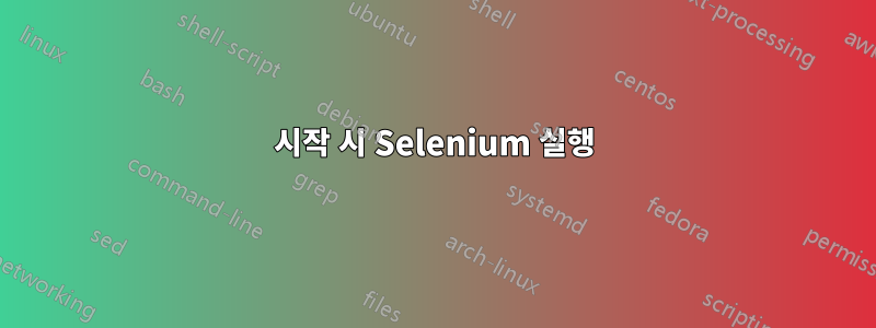 시작 시 Selenium 실행