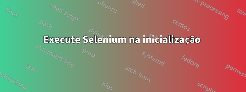 Execute Selenium na inicialização