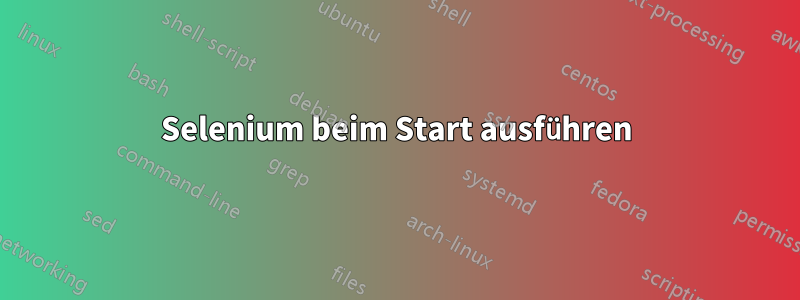 Selenium beim Start ausführen