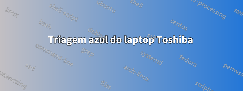 Triagem azul do laptop Toshiba