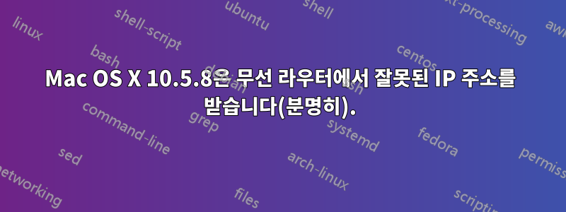 Mac OS X 10.5.8은 무선 라우터에서 잘못된 IP 주소를 받습니다(분명히).