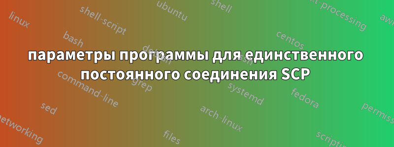 параметры программы для единственного постоянного соединения SCP