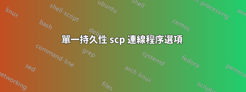 單一持久性 scp 連線程序選項