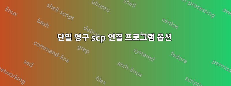 단일 영구 scp 연결 프로그램 옵션