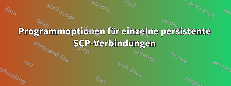 Programmoptionen für einzelne persistente SCP-Verbindungen