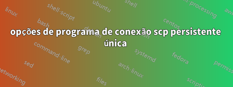 opções de programa de conexão scp persistente única