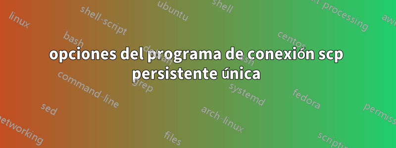 opciones del programa de conexión scp persistente única