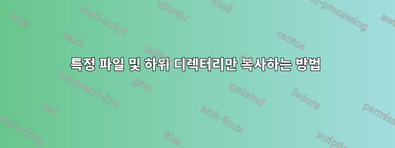특정 파일 및 하위 디렉터리만 복사하는 방법