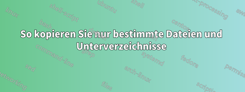 So kopieren Sie nur bestimmte Dateien und Unterverzeichnisse