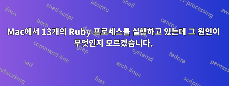 Mac에서 13개의 Ruby 프로세스를 실행하고 있는데 그 원인이 무엇인지 모르겠습니다.